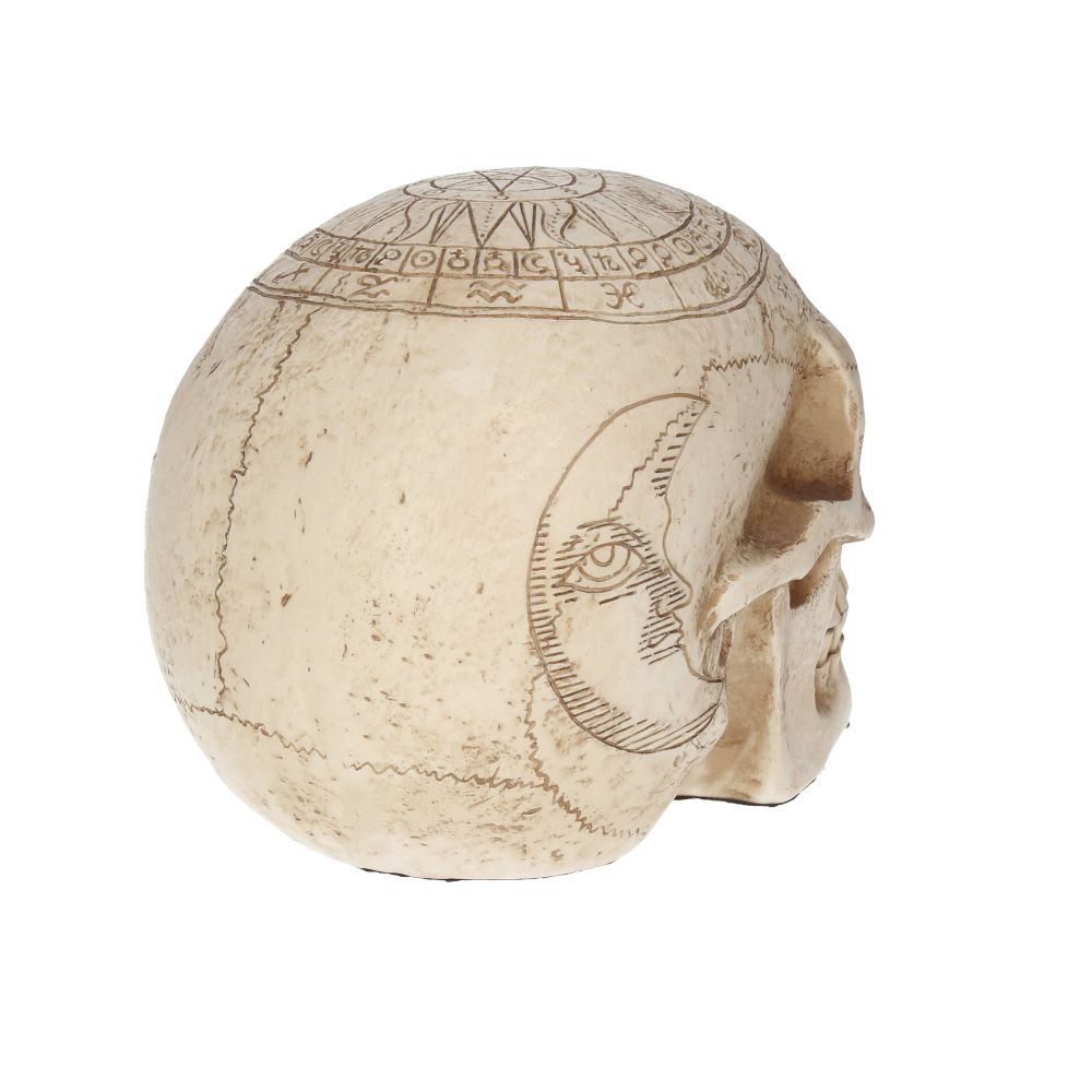 Astrological Skull 20cm Ornament