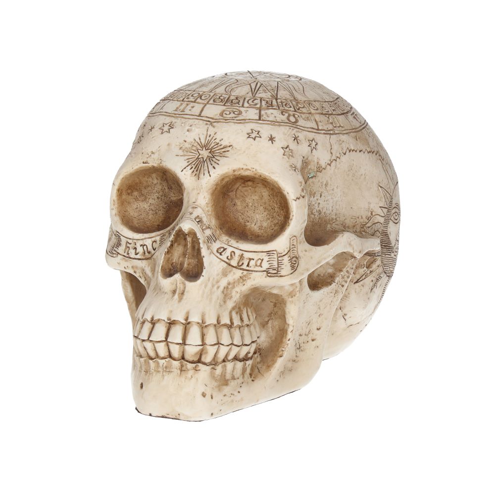 Astrological Skull 20cm Ornament