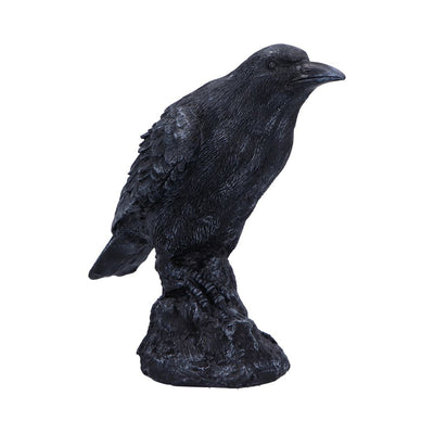 Raven Messenger 25cm Ornament