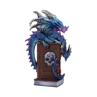 A Tale of Dragons 22cm Ornament