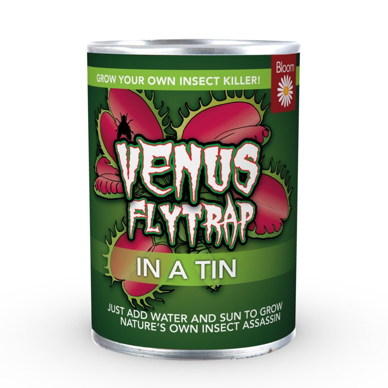 Grow Your Own Venus Fly Trap - TwoBeeps.co.uk