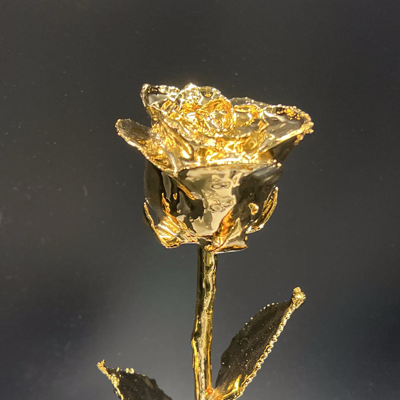 Real Handpicked Rose Dipped in 24k Gold