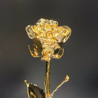 Real Handpicked Rose Dipped in 24k Gold