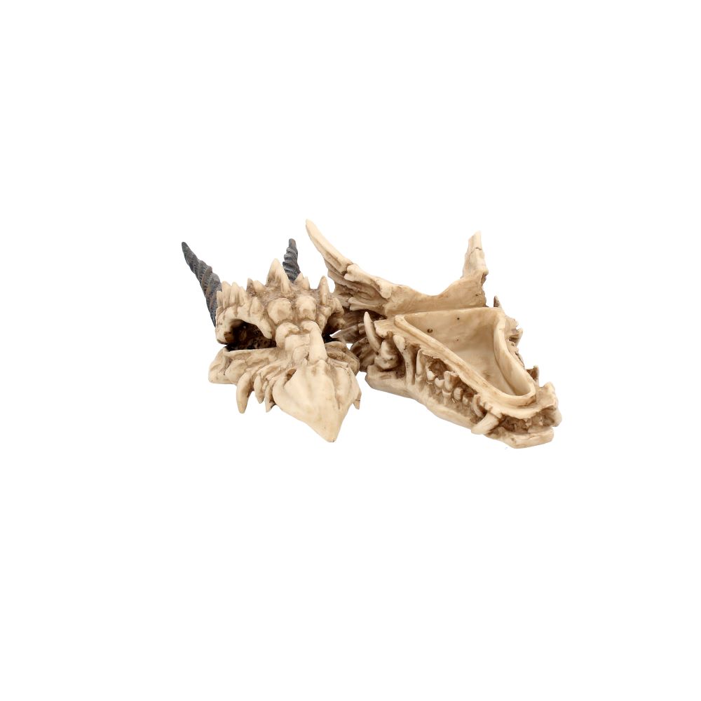 Dragon Skull Box 20cm