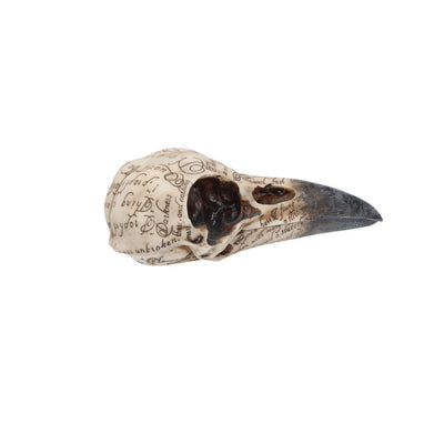 Edgar's Raven Skull 21cm Ornament