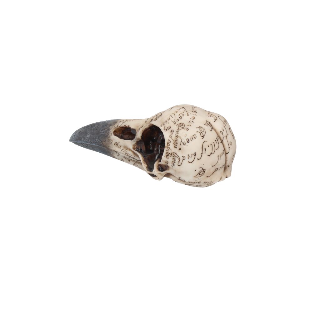 Edgar's Raven Skull 21cm Ornament