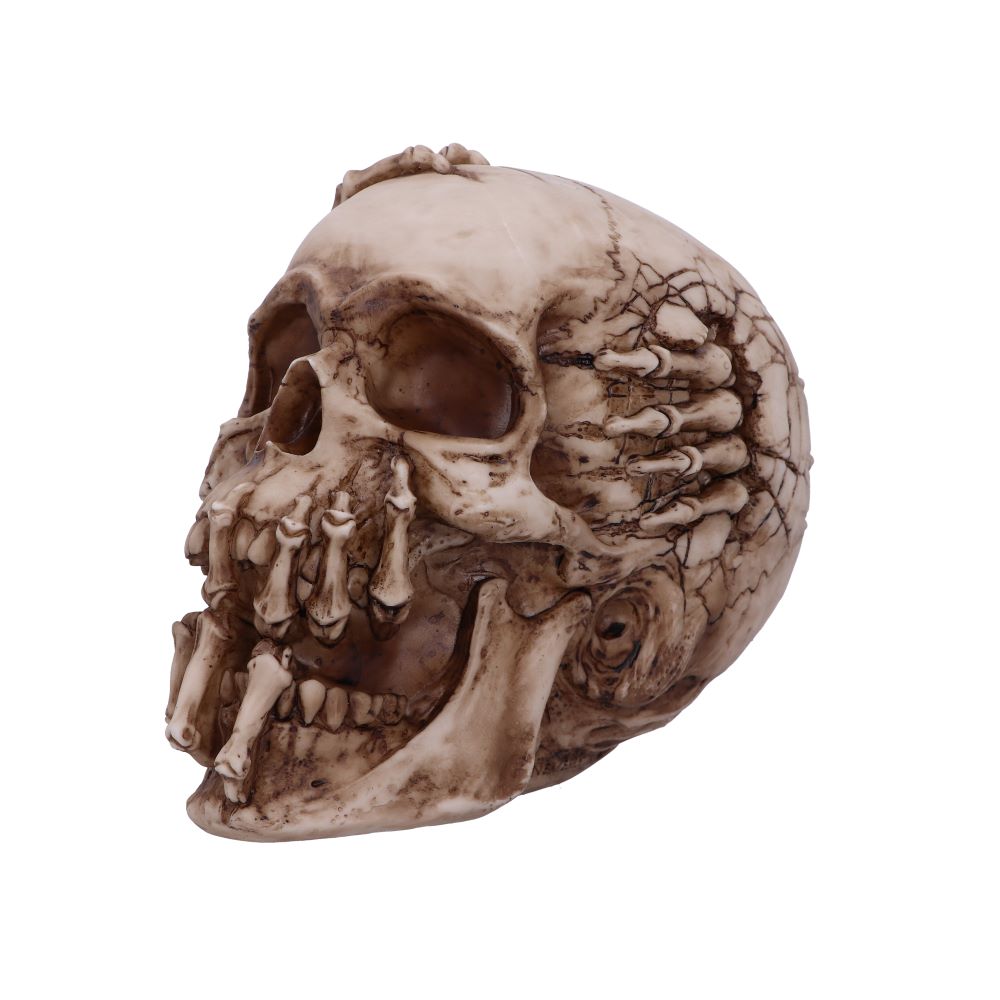 Breaking Out Skull (JR) 20cm Ornament