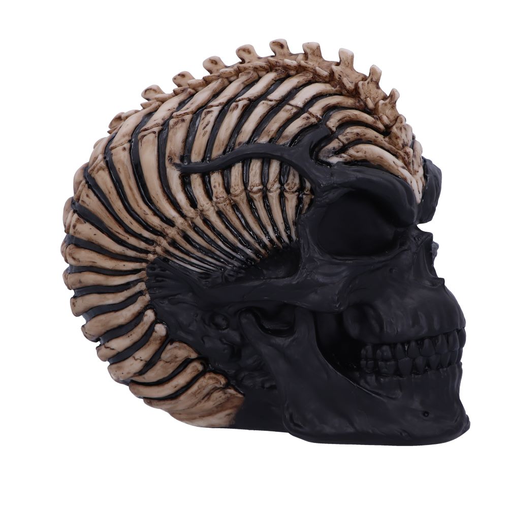 Spine Head Skull (JR) 18.5cm Ornament