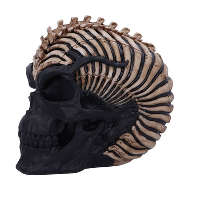 Spine Head Skull (JR) 18.5cm Ornament