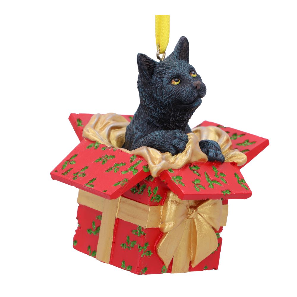 Present Cat Hanging Ornament (LP) 9cm