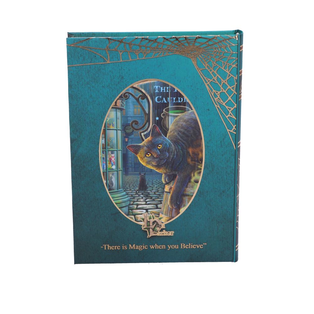 Rusty Cauldron Journal (LP) 17cm