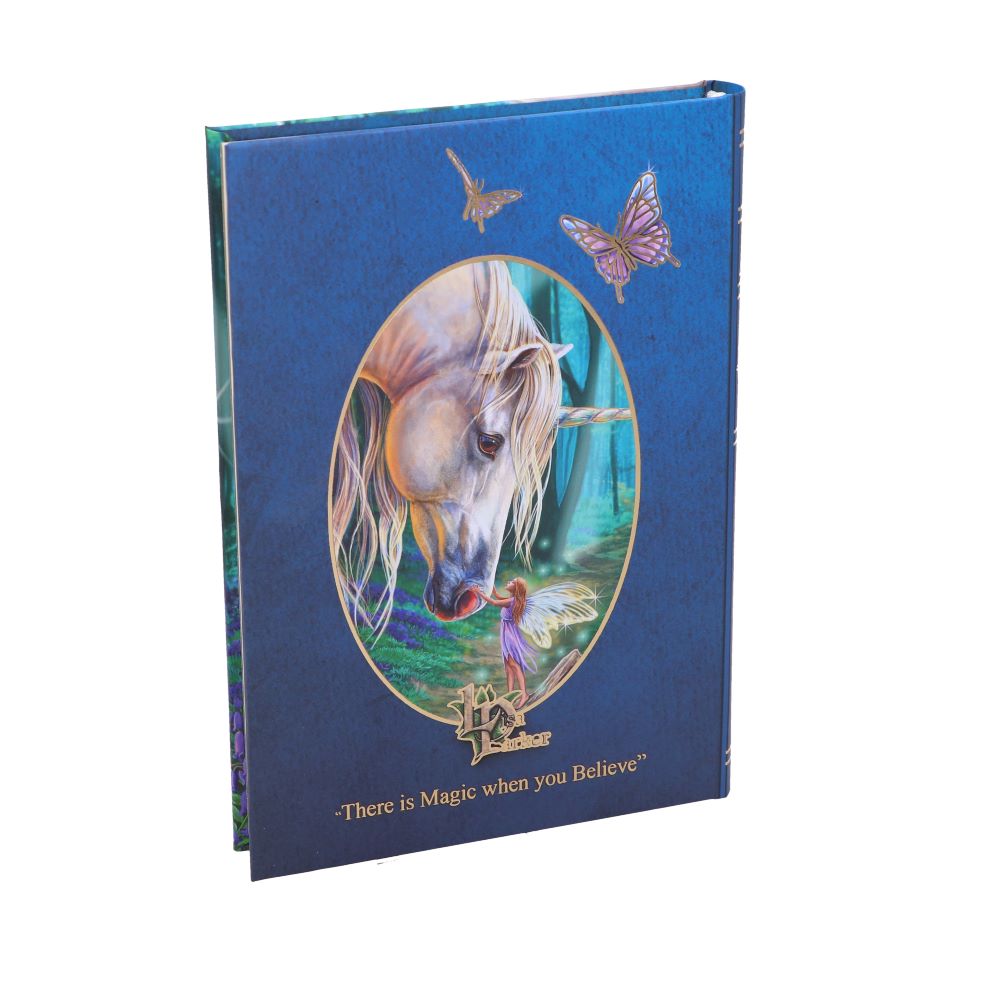 Fairy Whispers Journal (LP) 17cm