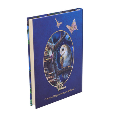 Fairy Tales Journal (LP) 17cm