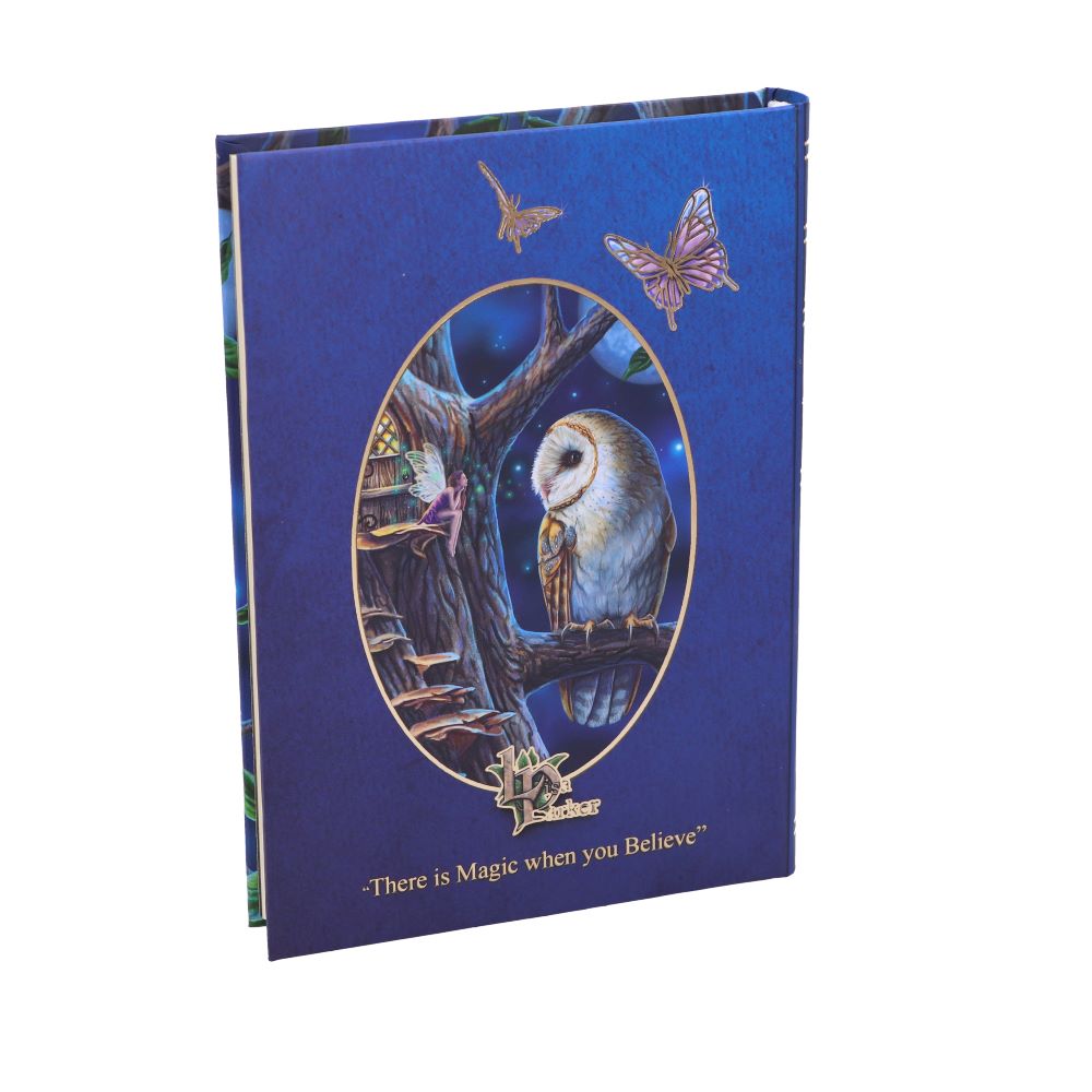 Fairy Tales Journal (LP) 17cm