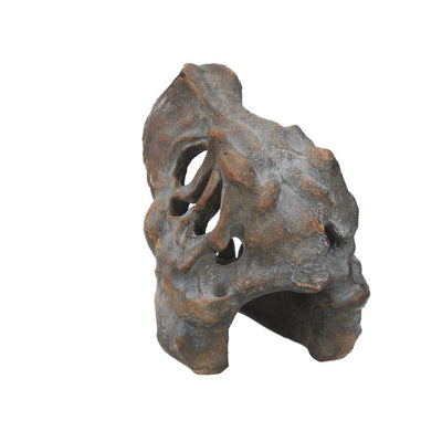 Tyrannosaurus Rex Skull Freestanding 16cm Ornament