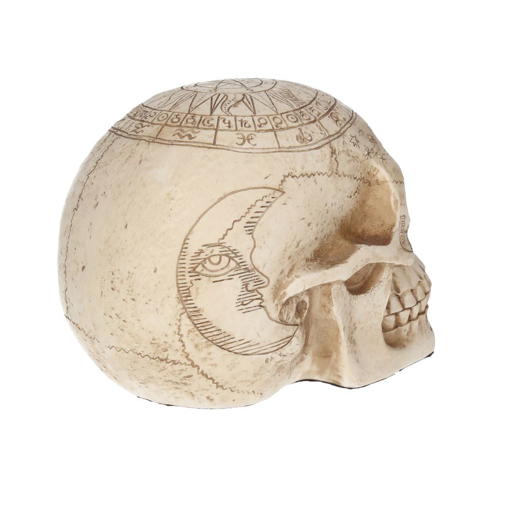 Astrological Skull 20cm Ornament