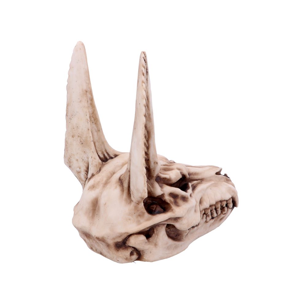 Anubis Skull 17cm Ornament