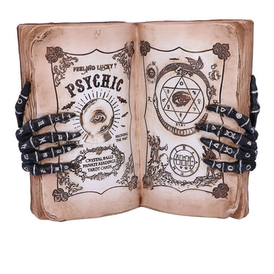 Psychic Compendium 25.8cm Ornament