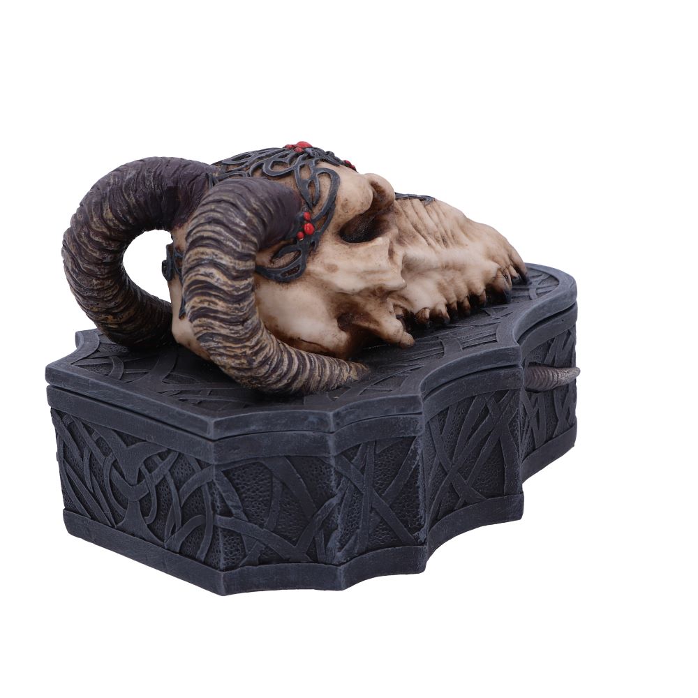 Dragon Skull Box (Monte Moore) 17.7cm