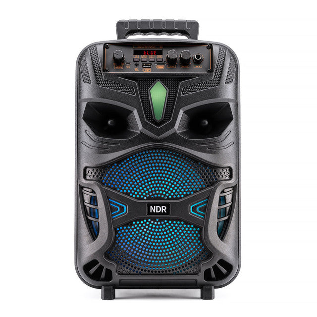 Portable Bluetooth Karaoke Speaker