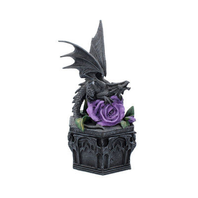 Dragon Beauty Box (AS) 25cm