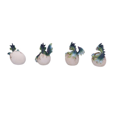 Hatchlings Emergence (Set of 4) 8cm Ornament