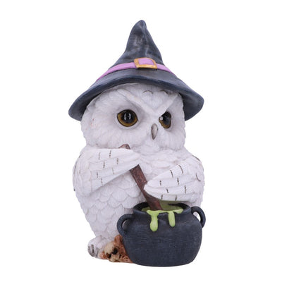 Owl Potion 17.5cm Ornament