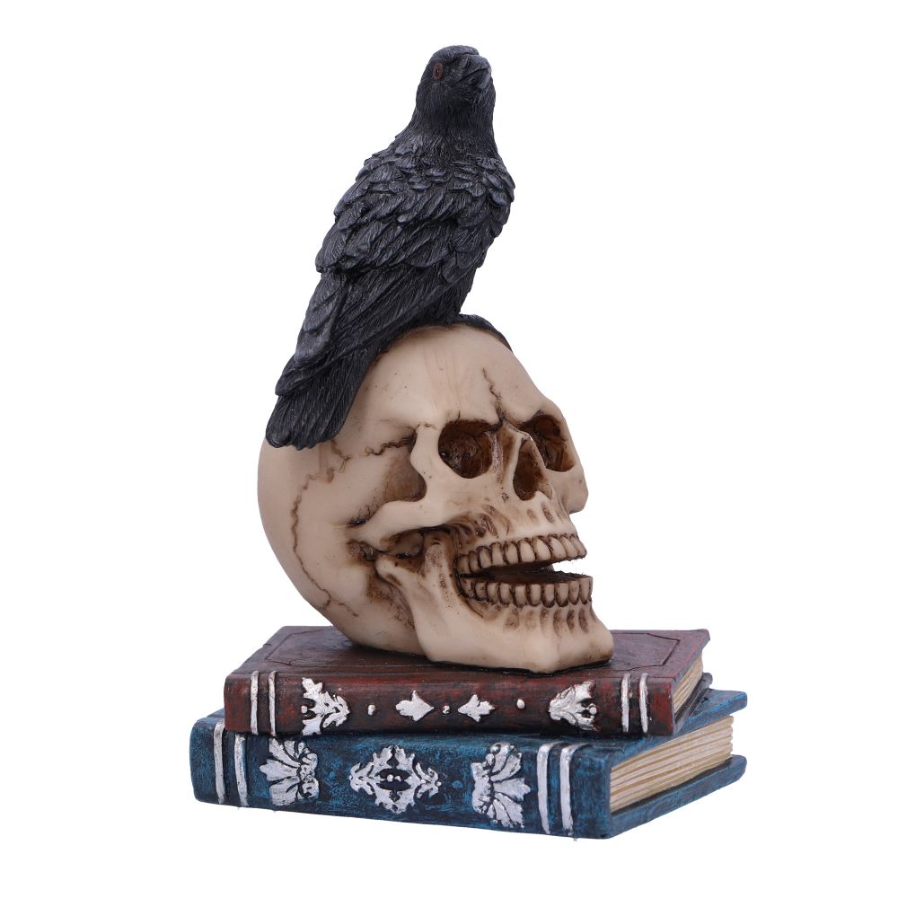 Raven's Spell 10.3cm Ornament