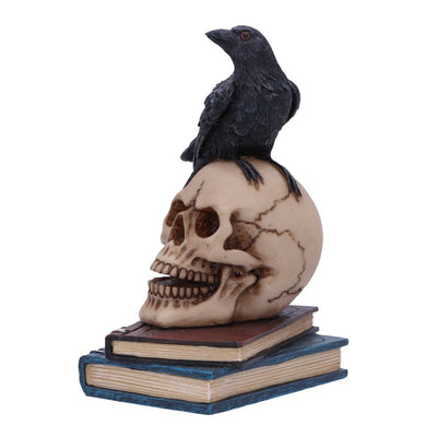Raven's Spell 10.3cm Ornament