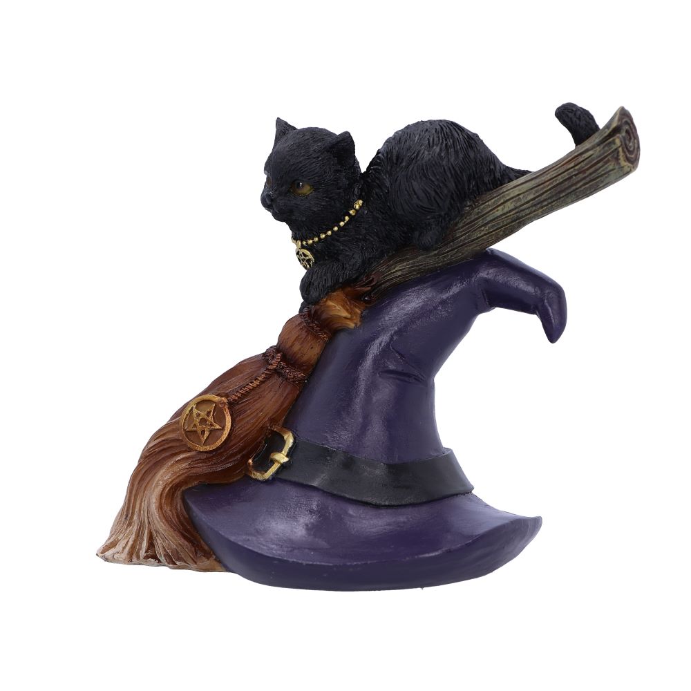 Bewitched 13.3cm Ornament