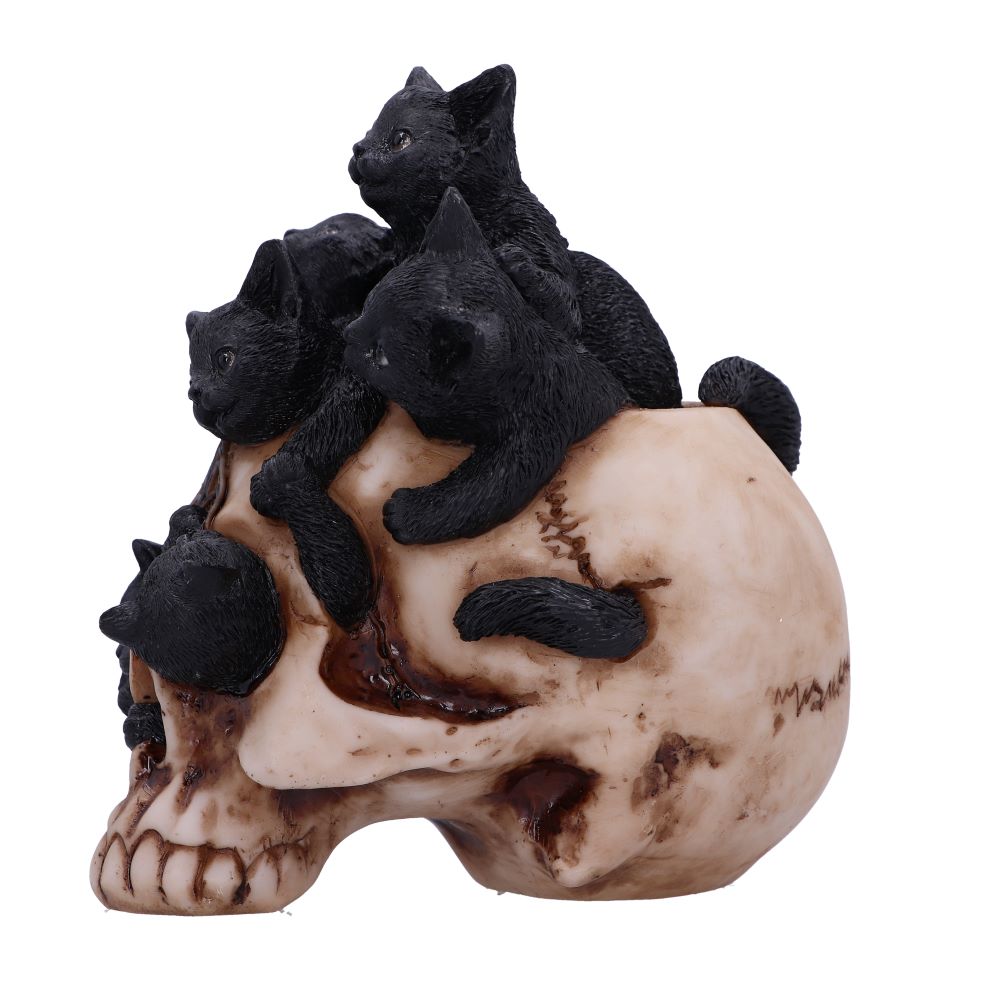 Cranial Litter 14cm Ornament