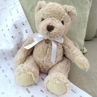 Luxury Personalised Teddy Bear & Edge Disc