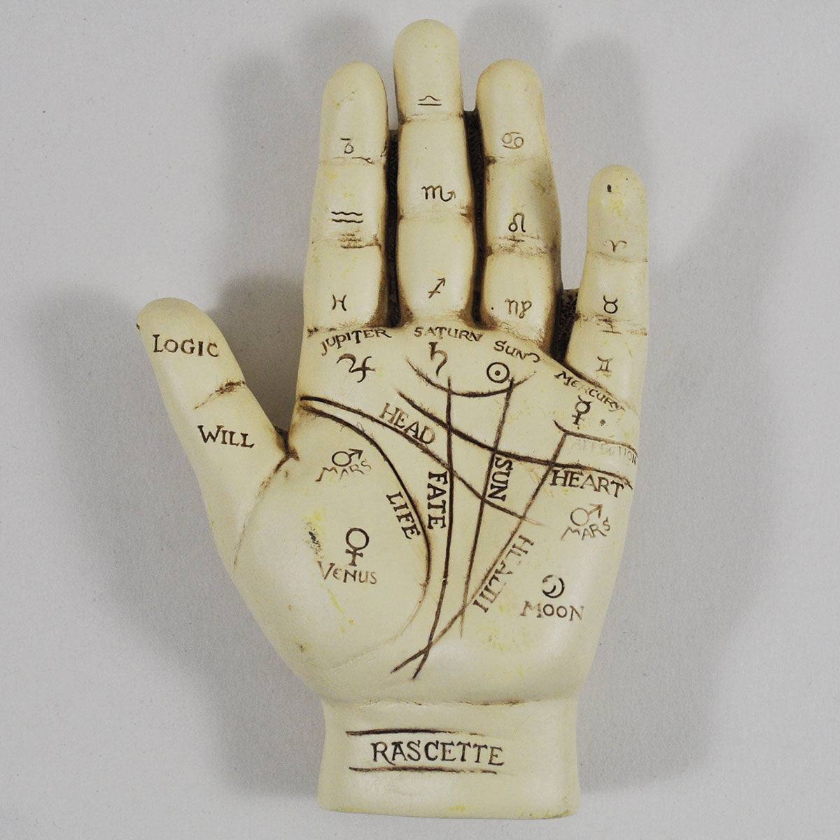 Palmistry Hand Ornament & Palm Reading Instruction Booklet - TwoBeeps.co.uk