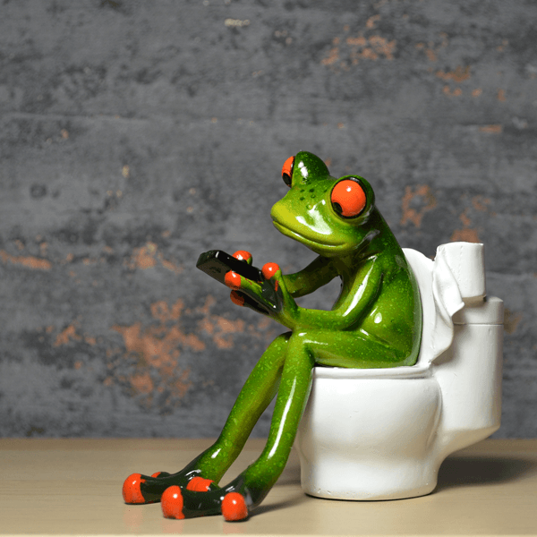 Comical Frog Ornament - On a Bog - TwoBeeps.co.uk