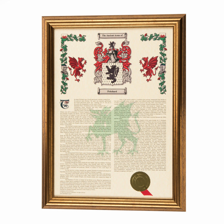 A3 Personalised Coat Of Arms & Surname History Print - TwoBeeps.co.uk