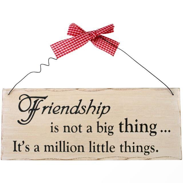 Friendship Is Not A Big Thing Hanging Sign - TwoBeeps.co.uk