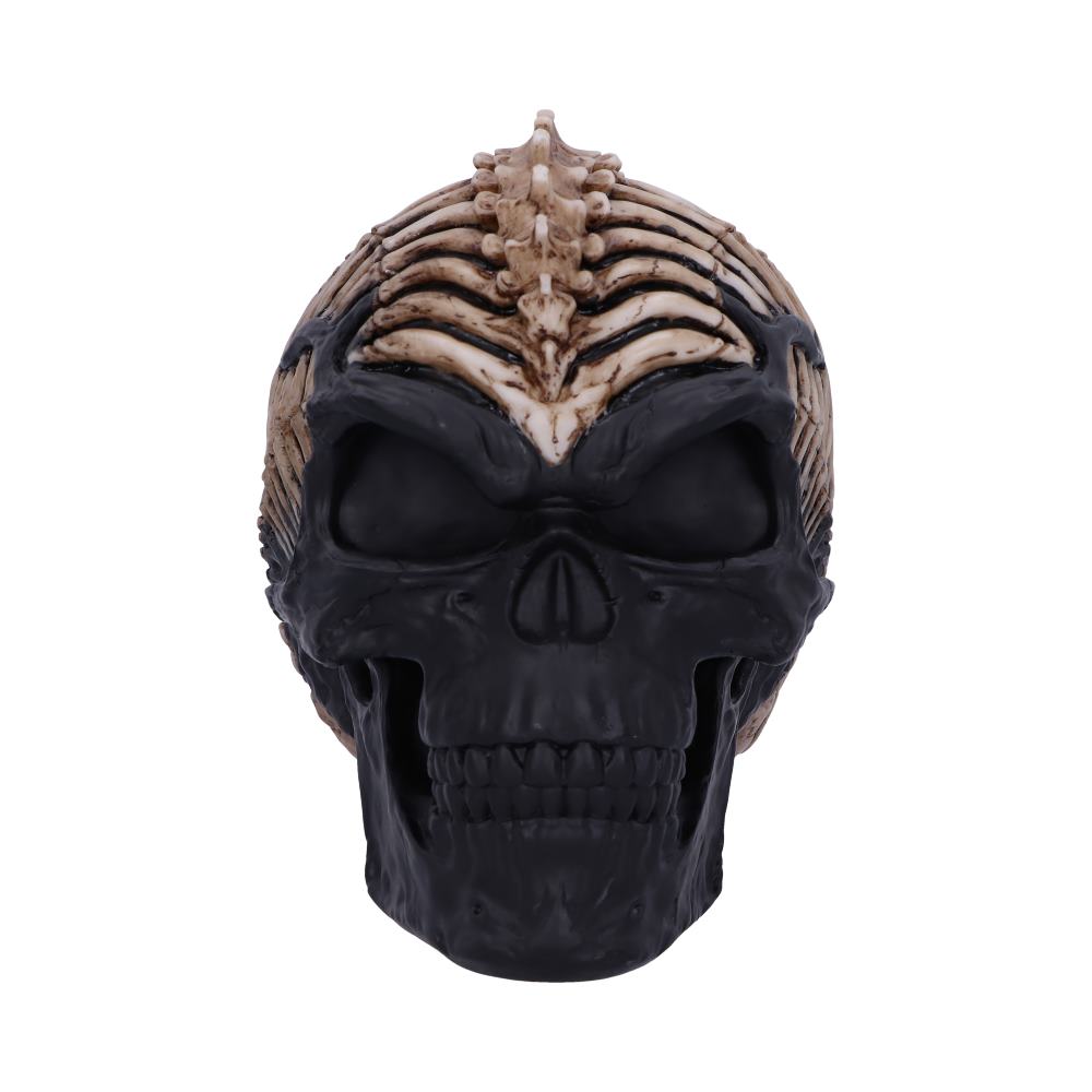 Spine Head Skull (JR) 18.5cm Ornament