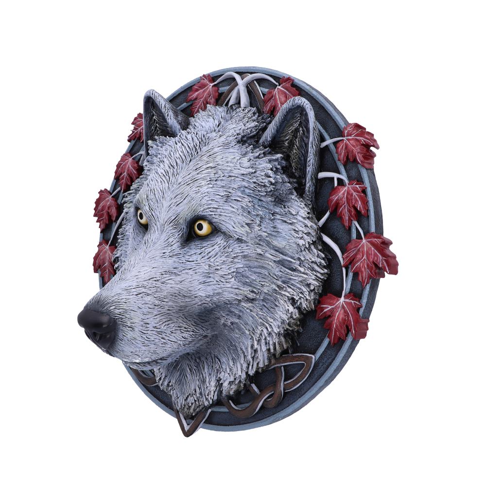 Guardian of the Fall Wall Plaque (LP) 29cm