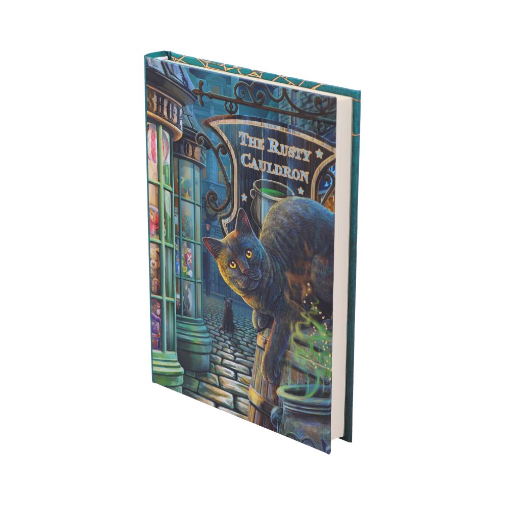Rusty Cauldron Journal (LP) 17cm