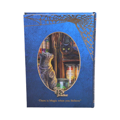 Magical Emporium Journal (LP) 17cm