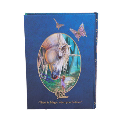Fairy Whispers Journal (LP) 17cm