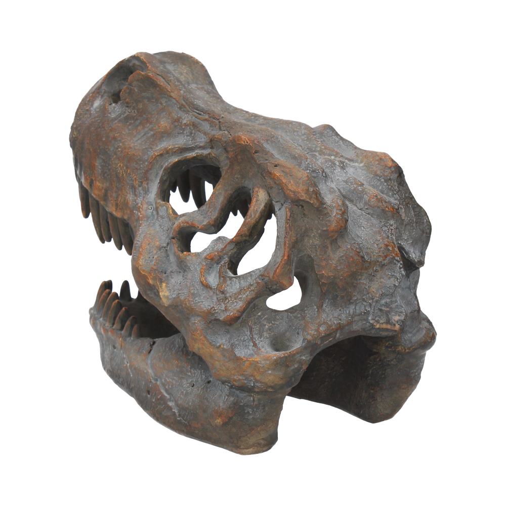 Tyrannosaurus Rex Skull Freestanding 16cm Ornament