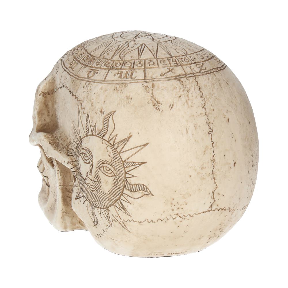 Astrological Skull 20cm Ornament