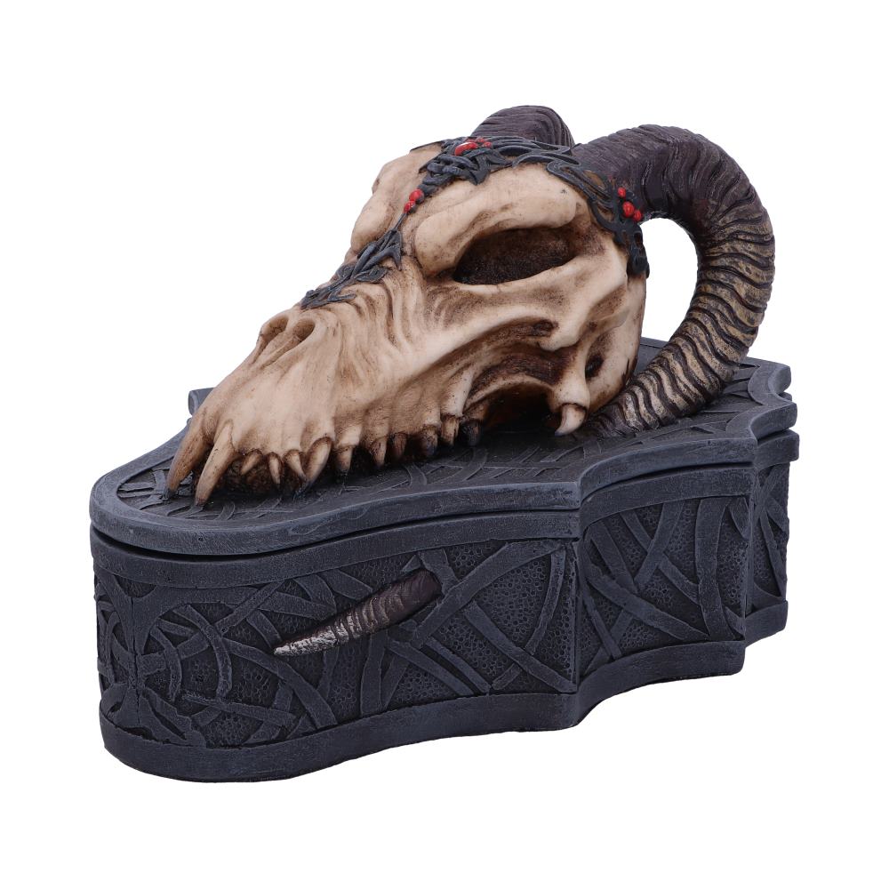Dragon Skull Box (Monte Moore) 17.7cm
