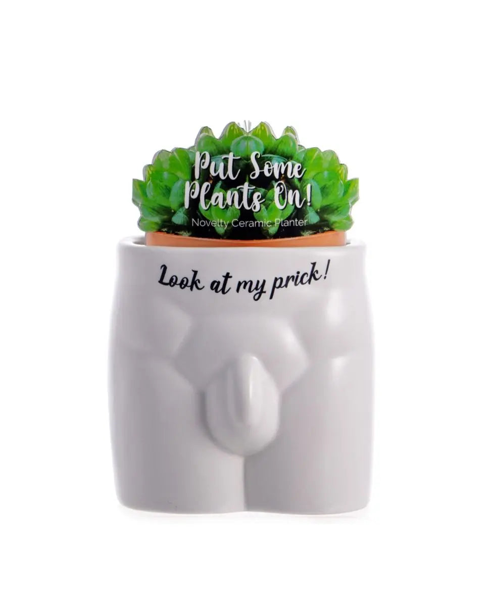 Look At My Prick Plant Pot - TwoBeeps.co.uk