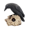 Ravens Remains 13cm Ornament