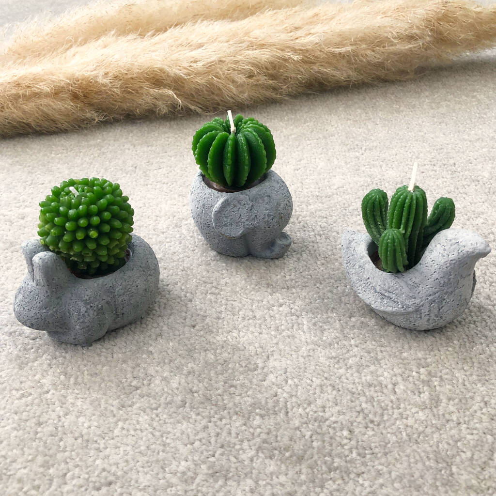 Animal Concrete Pot Cactus Candles