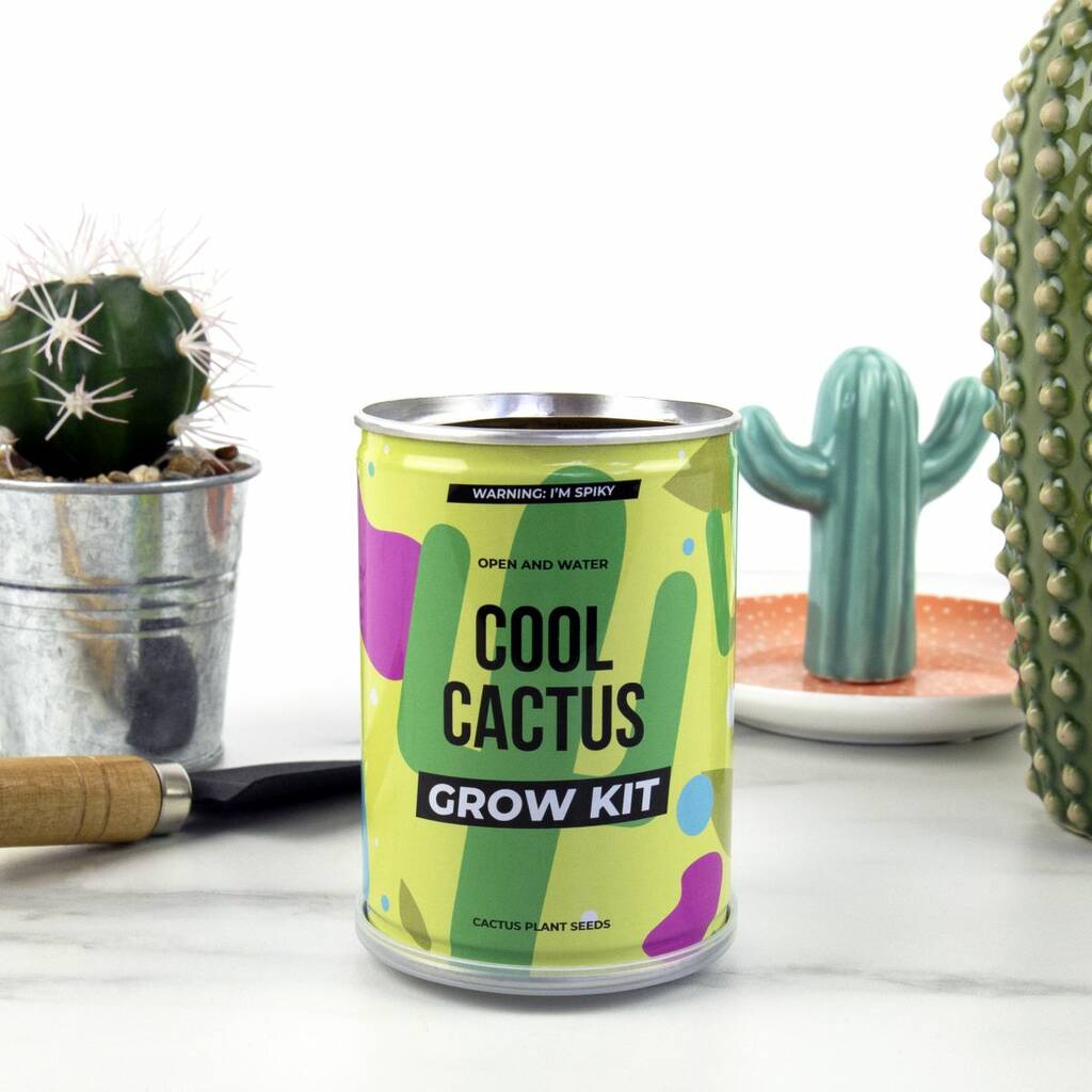Cool Cactus Grow Kit Tin