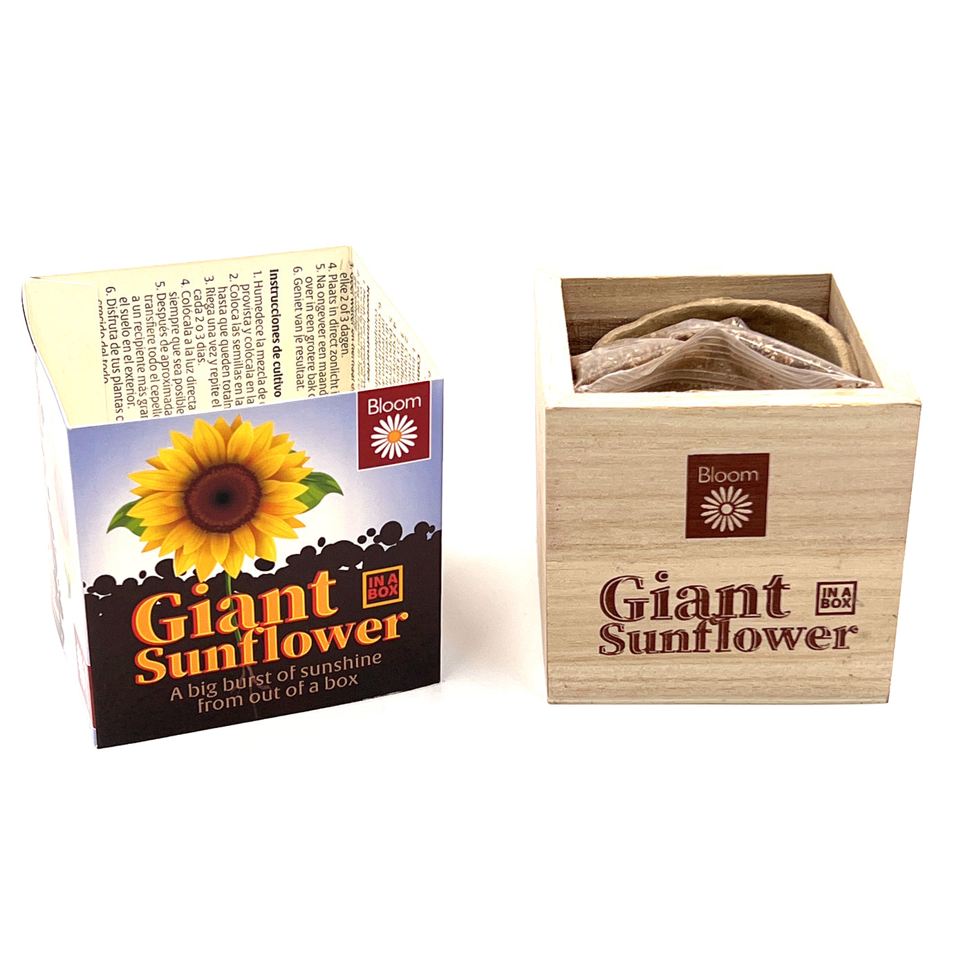 Grow your Own Giant Sunflower in a box