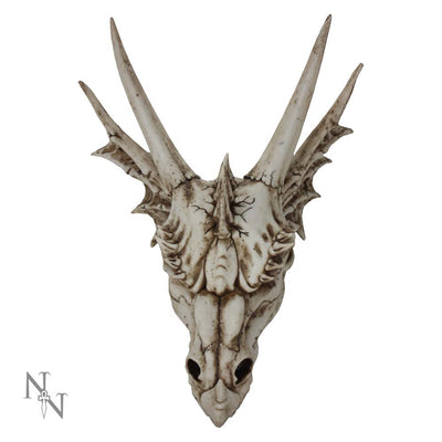 The Last Dragon Skull 32cm Ornament